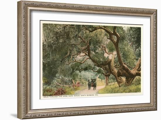 Oak Trees, Hope Ranch, Santa Barbara, California-null-Framed Art Print