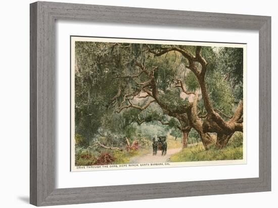 Oak Trees, Hope Ranch, Santa Barbara, California-null-Framed Art Print