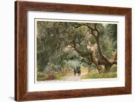 Oak Trees, Hope Ranch, Santa Barbara, California-null-Framed Art Print