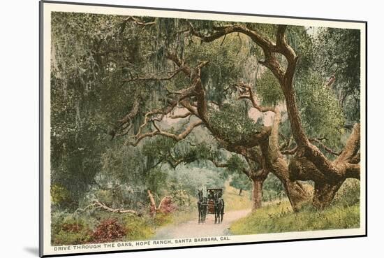 Oak Trees, Hope Ranch, Santa Barbara, California-null-Mounted Art Print