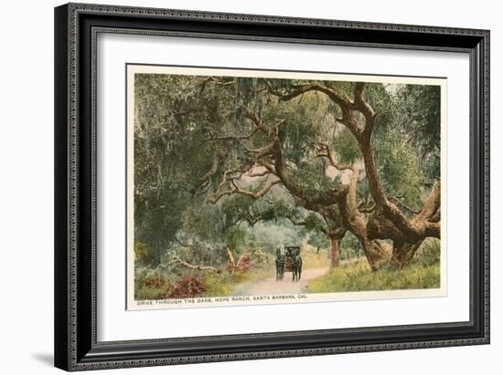 Oak Trees, Hope Ranch, Santa Barbara, California-null-Framed Art Print