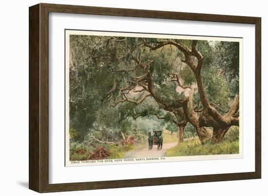 Oak Trees, Hope Ranch, Santa Barbara, California-null-Framed Premium Giclee Print
