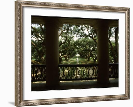 Oak Trees in Front of a Mansion, Oak Alley Plantation, Vacherie, Louisiana, USA-null-Framed Photographic Print