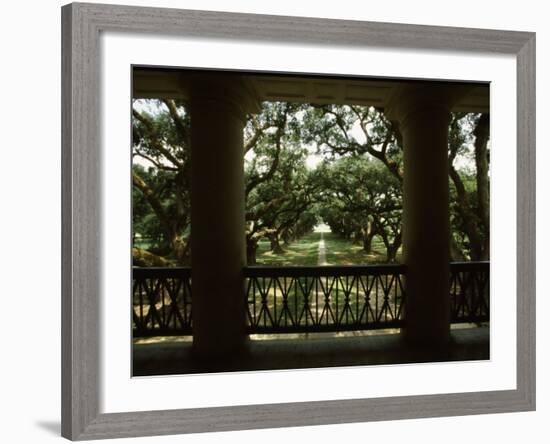 Oak Trees in Front of a Mansion, Oak Alley Plantation, Vacherie, Louisiana, USA-null-Framed Photographic Print