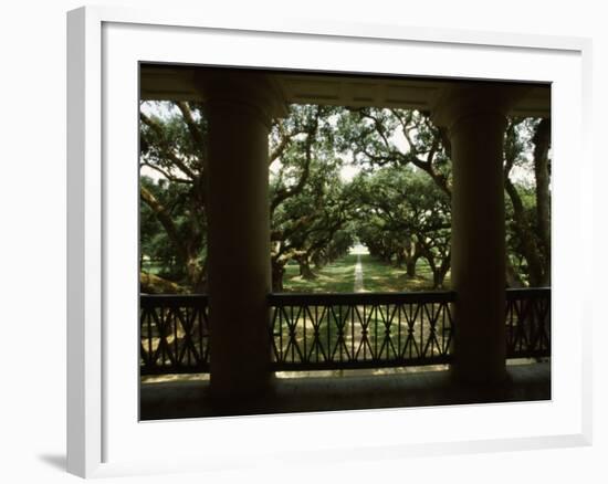 Oak Trees in Front of a Mansion, Oak Alley Plantation, Vacherie, Louisiana, USA-null-Framed Photographic Print