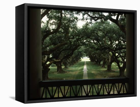 Oak Trees in Front of a Mansion, Oak Alley Plantation, Vacherie, Louisiana, USA-null-Framed Premier Image Canvas