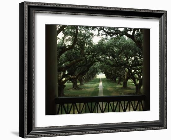 Oak Trees in Front of a Mansion, Oak Alley Plantation, Vacherie, Louisiana, USA-null-Framed Photographic Print