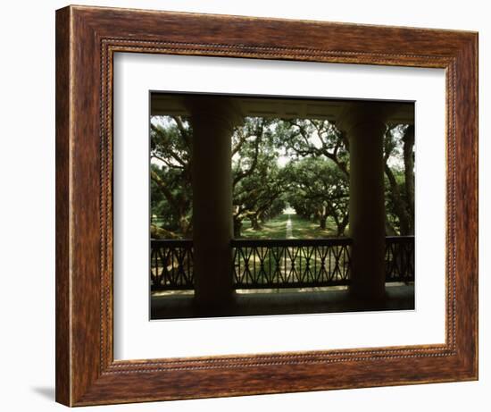 Oak Trees in Front of a Mansion, Oak Alley Plantation, Vacherie, Louisiana, USA-null-Framed Photographic Print