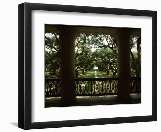 Oak Trees in Front of a Mansion, Oak Alley Plantation, Vacherie, Louisiana, USA-null-Framed Photographic Print