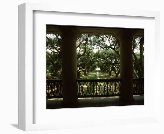 Oak Trees in Front of a Mansion, Oak Alley Plantation, Vacherie, Louisiana, USA-null-Framed Photographic Print