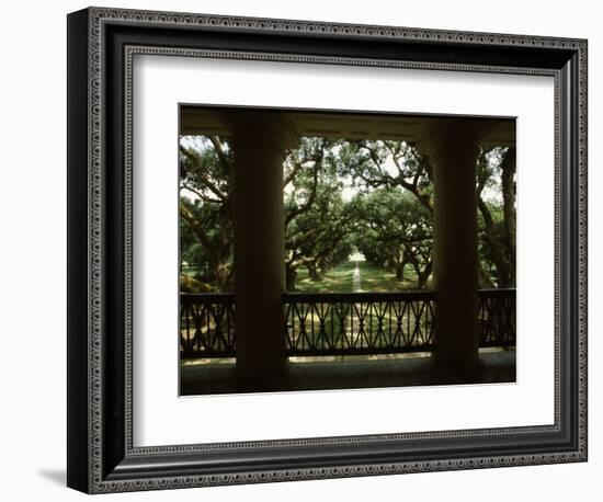 Oak Trees in Front of a Mansion, Oak Alley Plantation, Vacherie, Louisiana, USA-null-Framed Photographic Print