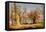 Oak Trees in Sherwood Forest, 1877-Andrew Maccallum-Framed Premier Image Canvas