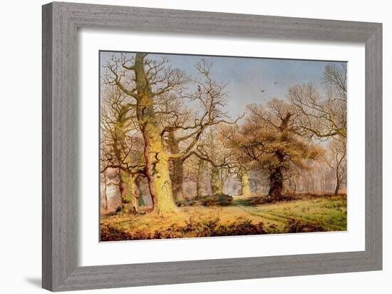 Oak Trees in Sherwood Forest, 1877-Andrew Maccallum-Framed Giclee Print