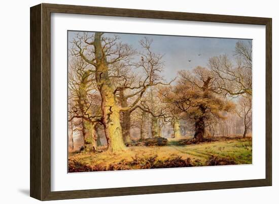 Oak Trees in Sherwood Forest, 1877-Andrew Maccallum-Framed Giclee Print