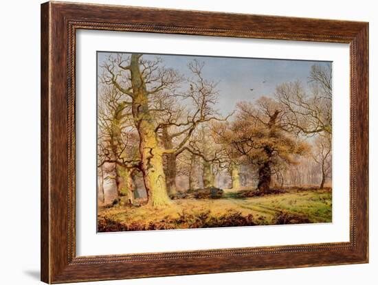 Oak Trees in Sherwood Forest, 1877-Andrew Maccallum-Framed Giclee Print