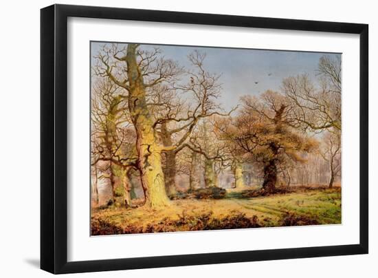 Oak Trees in Sherwood Forest, 1877-Andrew Maccallum-Framed Giclee Print