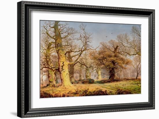 Oak Trees in Sherwood Forest, 1877-Andrew Maccallum-Framed Giclee Print