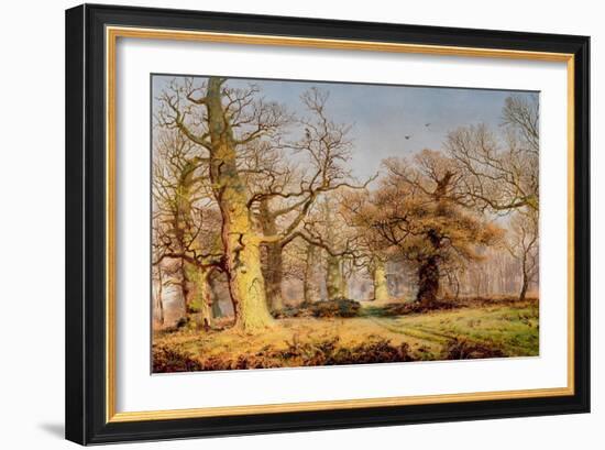 Oak Trees in Sherwood Forest, 1877-Andrew Maccallum-Framed Giclee Print