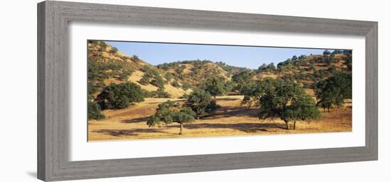 Oak Trees on Hill, Stanislaus County, California, USA-null-Framed Photographic Print