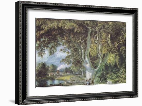 Oak Trees, Shoreham, Kent, Nature in Britain Published by Collins, 1946 (Litho)-Samuel Palmer-Framed Giclee Print