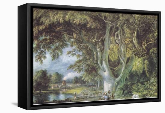 Oak Trees, Shoreham, Kent, Nature in Britain Published by Collins, 1946 (Litho)-Samuel Palmer-Framed Premier Image Canvas