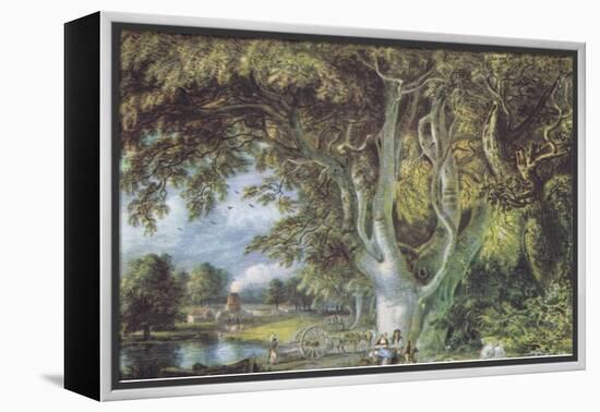 Oak Trees, Shoreham, Kent, Nature in Britain Published by Collins, 1946 (Litho)-Samuel Palmer-Framed Premier Image Canvas