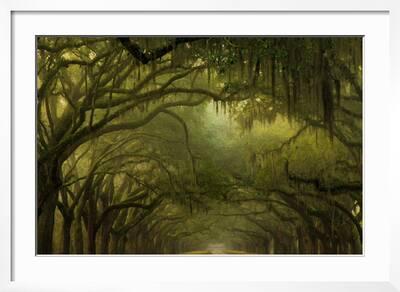 Oak Trees And Lush Spanish Moss In Forsyth Park, Savannah, Georgia Art  Print by Cavan Images - Fine Art America
