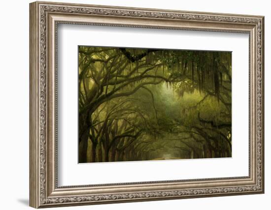 Oak Trees with Spanish Moss, Savannah, Georgia, USA-Joanne Wells-Framed Photographic Print