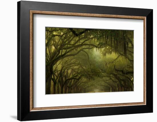 Oak Trees with Spanish Moss, Savannah, Georgia, USA-Joanne Wells-Framed Photographic Print