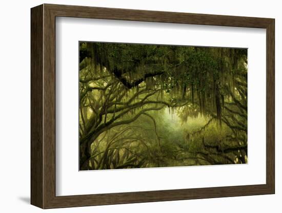 Oak Trees with Spanish Moss, Savannah, Georgia, USA-Joanne Wells-Framed Photographic Print