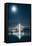 Oakland Bay Bridge and Moonlight Portrait-null-Framed Premier Image Canvas