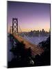 Oakland Bay Bridge, San Francisco, California, USA-Walter Bibikow-Mounted Photographic Print