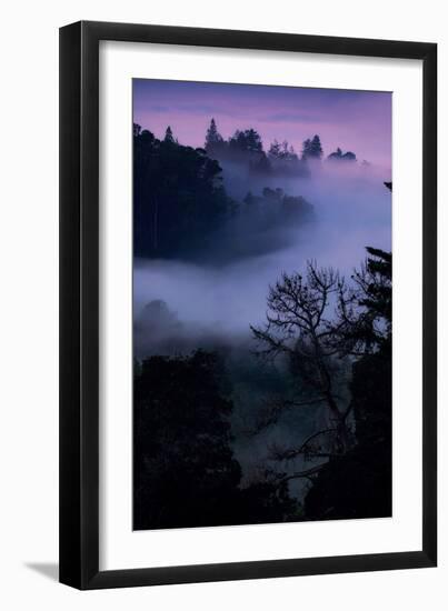 Oakland Morning Mood Light & Fog Sunrise Trail Montclair Hills-Vincent James-Framed Photographic Print