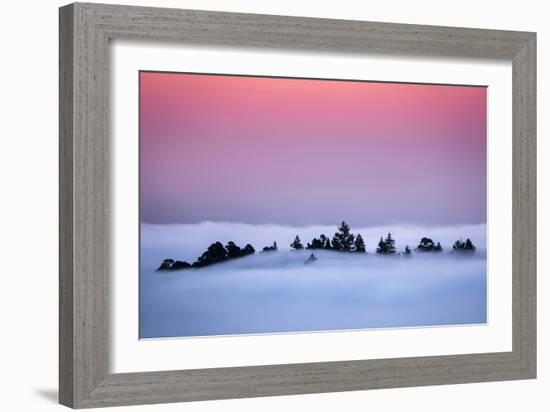 Oakland Tree Tops Above the Fog Peaceful Morning Bay Area-Vincent James-Framed Photographic Print