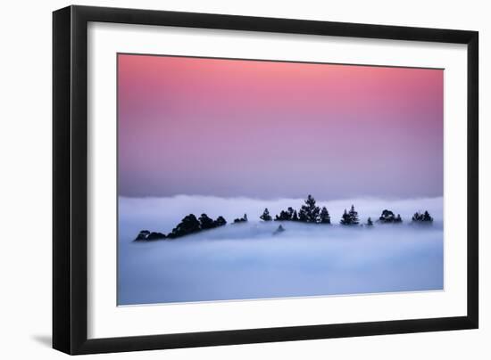 Oakland Tree Tops Above the Fog Peaceful Morning Bay Area-Vincent James-Framed Photographic Print