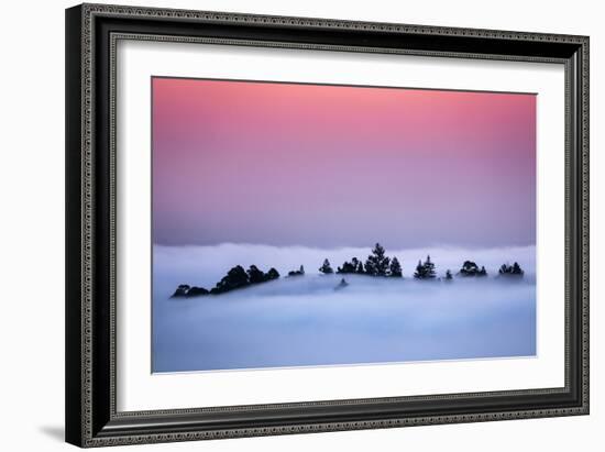 Oakland Tree Tops Above the Fog Peaceful Morning Bay Area-Vincent James-Framed Photographic Print