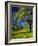 Oaks and Flowers, California, USA-John Alves-Framed Photographic Print