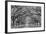 Oaks Avenue 1 BW-Moises Levy-Framed Photographic Print