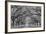 Oaks Avenue 1 BW-Moises Levy-Framed Photographic Print