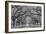 Oaks Avenue 1 BW-Moises Levy-Framed Photographic Print