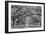 Oaks Avenue 1 BW-Moises Levy-Framed Photographic Print