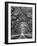 Oaks Avenue 2 BW-Moises Levy-Framed Photographic Print