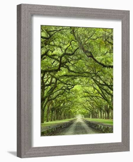 Oaks Avenue 2-Moises Levy-Framed Photographic Print