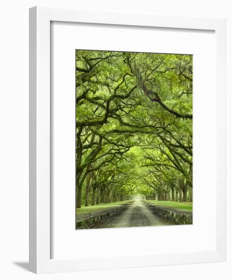 Oaks Avenue 2-Moises Levy-Framed Photographic Print