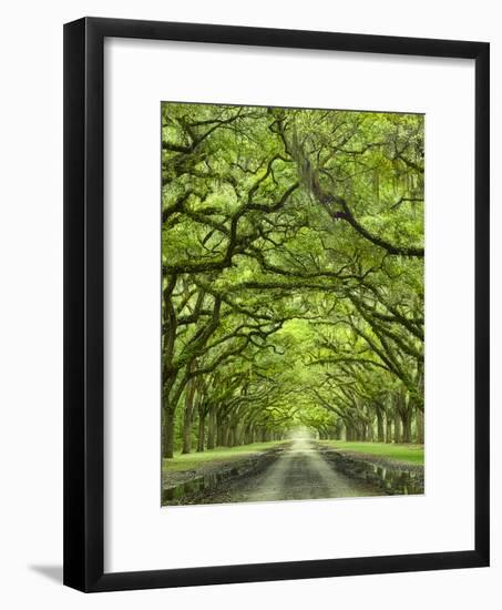 Oaks Avenue 2-Moises Levy-Framed Photographic Print