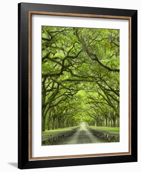 Oaks Avenue 2-Moises Levy-Framed Photographic Print