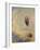 Oannes, C.1910-Odilon Redon-Framed Giclee Print