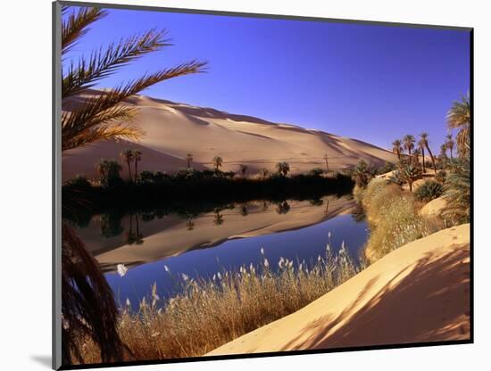 Oasis at Um Al Ma salt lake, Sahara desert, Ubari, Libya-Frans Lemmens-Mounted Photographic Print