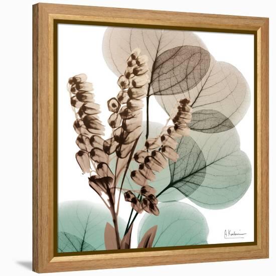 Oasis Eucalyptus 1-Albert Koetsier-Framed Stretched Canvas