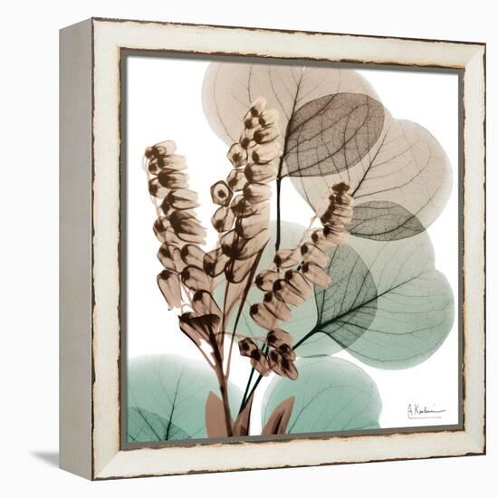 Oasis Eucalyptus 1-Albert Koetsier-Framed Stretched Canvas